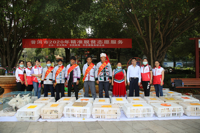 扶贫防疫齐发力 爱心助售乌骨鸡